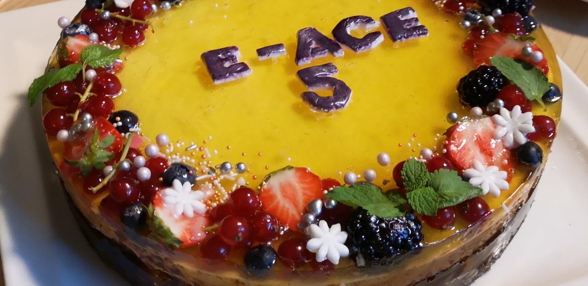 E-ACE sitēmas svinības, jubilejas torte