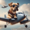dog flying on a plane